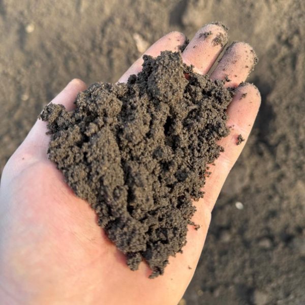 Zwarte grond - Afbeelding 2